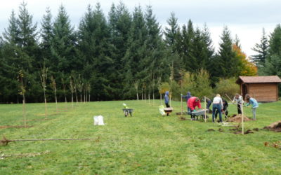 Retour en image sur le Temps des châtaignes 2019